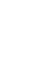 flying-fish